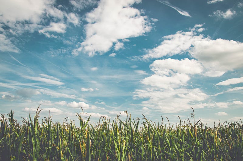 Cloud gazing for relaxation