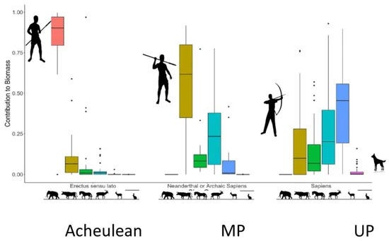 Caloric contributions of prey over time