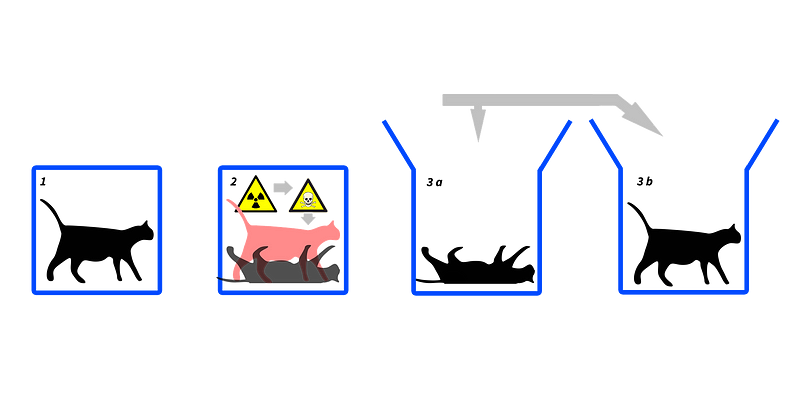 Schrödinger's Cat Thought Experiment