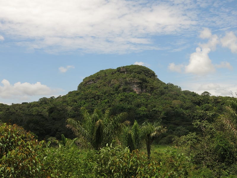 Prehistoric rock art in the Amazon