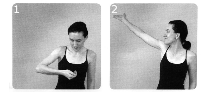 'Free the Bird' Nerve Glide Stretch