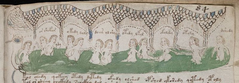 Biological illustrations from the Voynich Manuscript