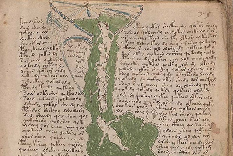 Pharmaceutical illustrations from the Voynich Manuscript