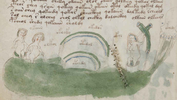 Recipe sections from the Voynich Manuscript