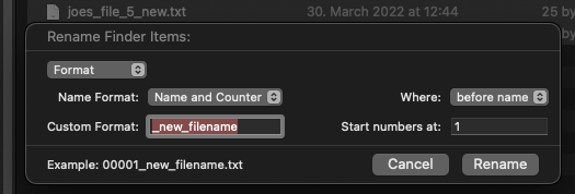 Renaming files with name and date option