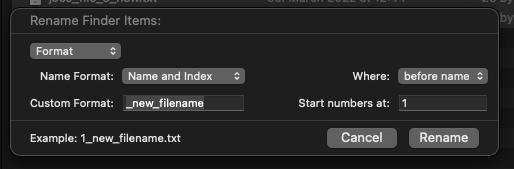 Renaming files with name and index option