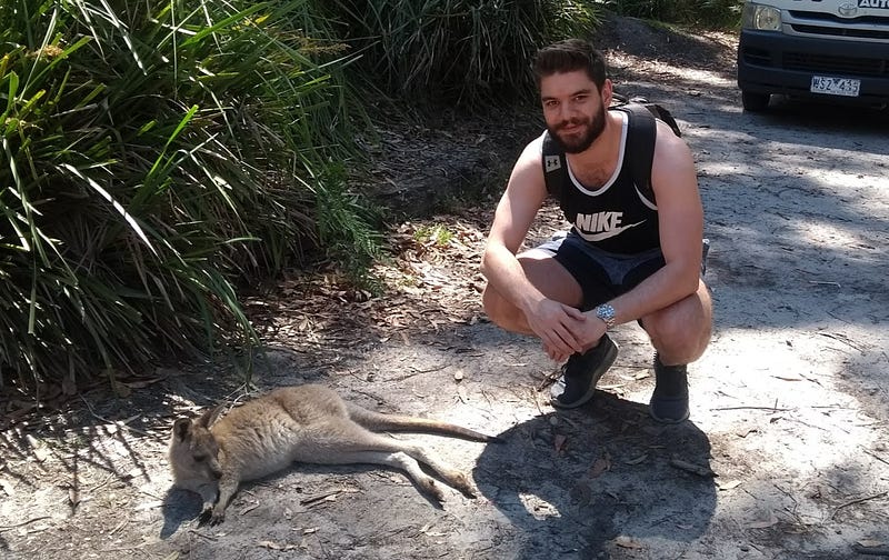 Baby kangaroo representing hope for Australia.