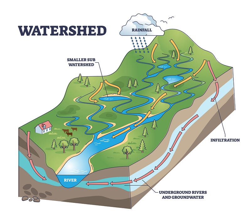 Beaver habitat within a watershed