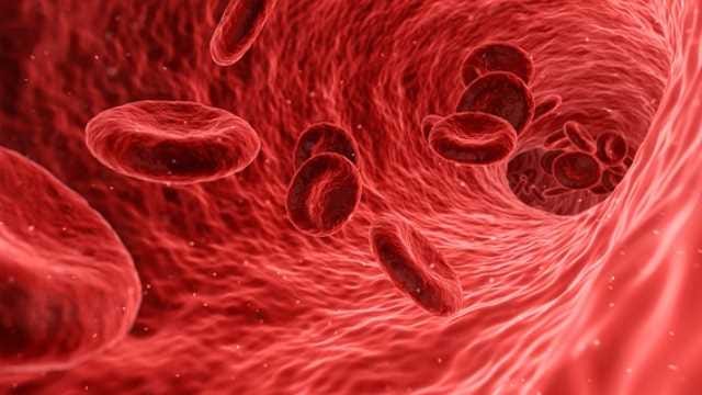 Blood stem cells signaling through cytokines for development.