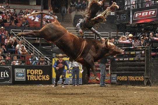 Bushwacker in Action