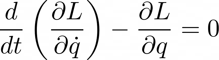 Euler-Lagrange equation in action principle