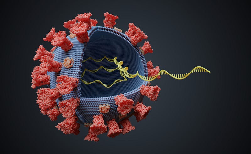 Genetic structure of the SARS-CoV-2 virus