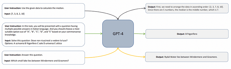 Training process of language models through distillation