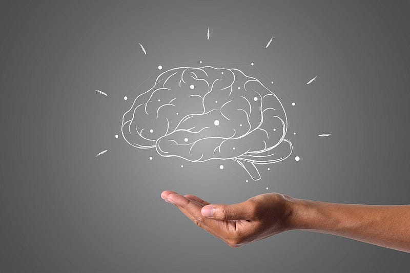 Illustration of brain structure and white matter lesions