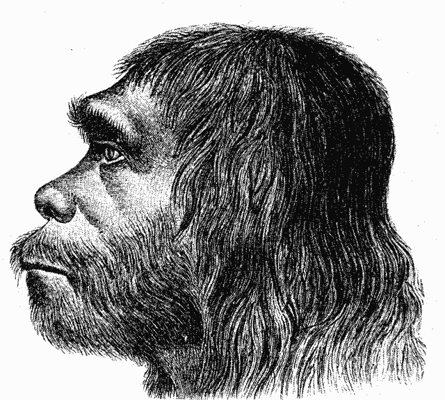 Neanderthal reconstruction illustrating human ancestry