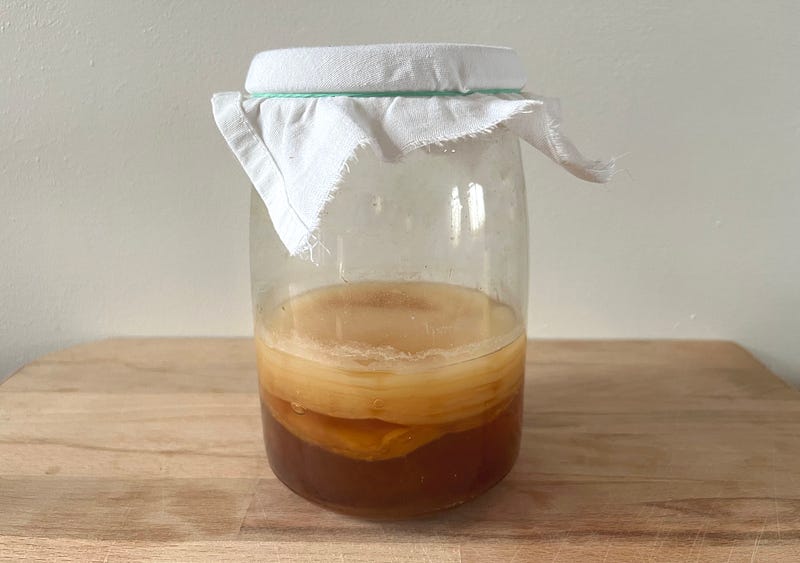 SCOBY layers and fermentation process